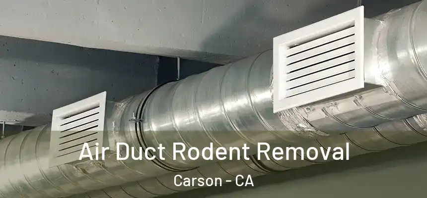  Air Duct Rodent Removal Carson - CA