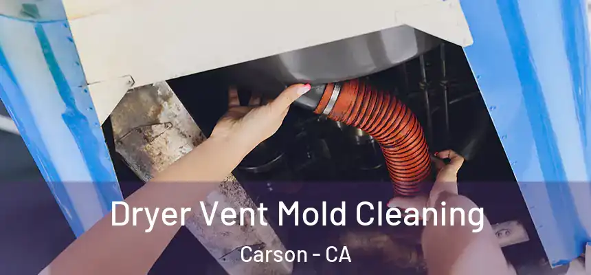 Dryer Vent Mold Cleaning Carson - CA