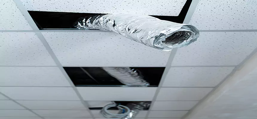 Our Air Duct Pet Hair Removal Services in Carson, CA