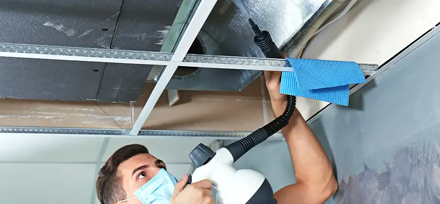 Our Air Duct Rodent Removal Services in Carson, CA