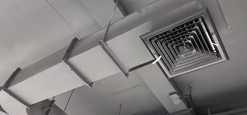 Restorative Allergy Relief Vent Cleaning – Coil, Blower & Housing Detail in Carson