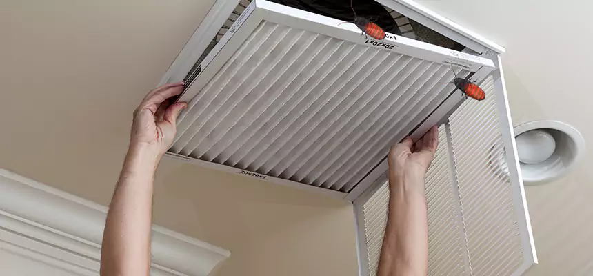 Our Insect Removal from Air Ducts Services in Carson, CA