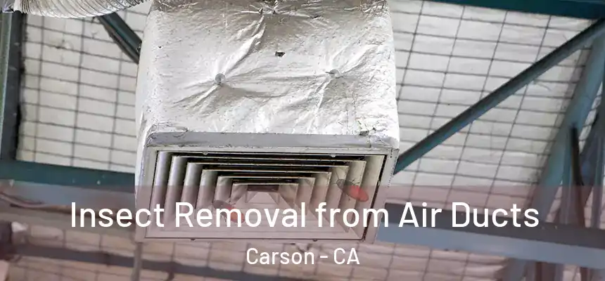 Insect Removal from Air Ducts Carson - CA