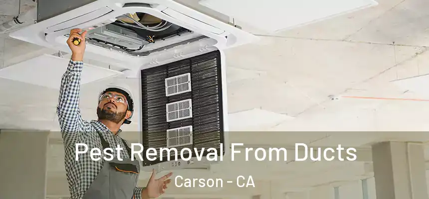 Pest Removal From Ducts Carson - CA