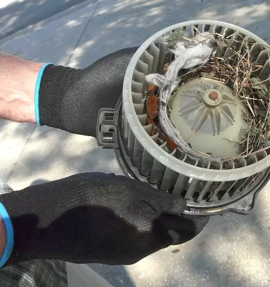 About Air Duct Mice Removal in Carson, CA