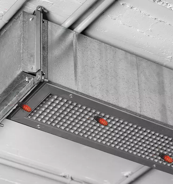 Affordable Insect Removal from Air Ducts in Carson, CA