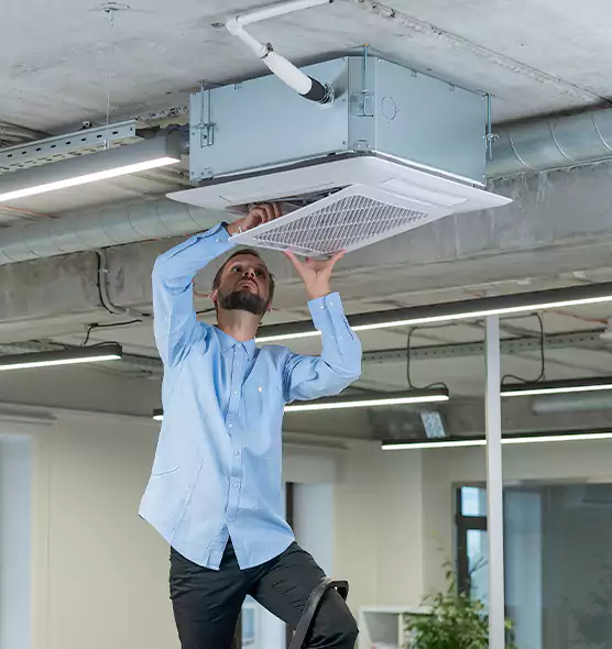 Advanced Rodent Droppings In Vents in Carson, CA