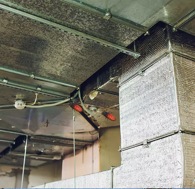 Why Homeowners & Businesses Trust Us Carson, CA?