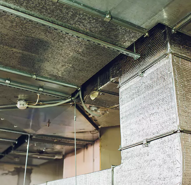 Why Homeowners & Businesses Trust Us in Carson, CA?